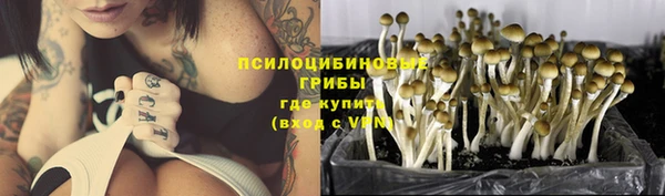 PSILOCYBIN Балабаново